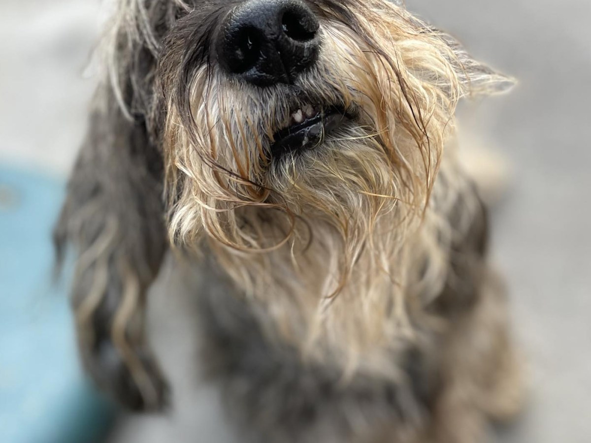 Charlie