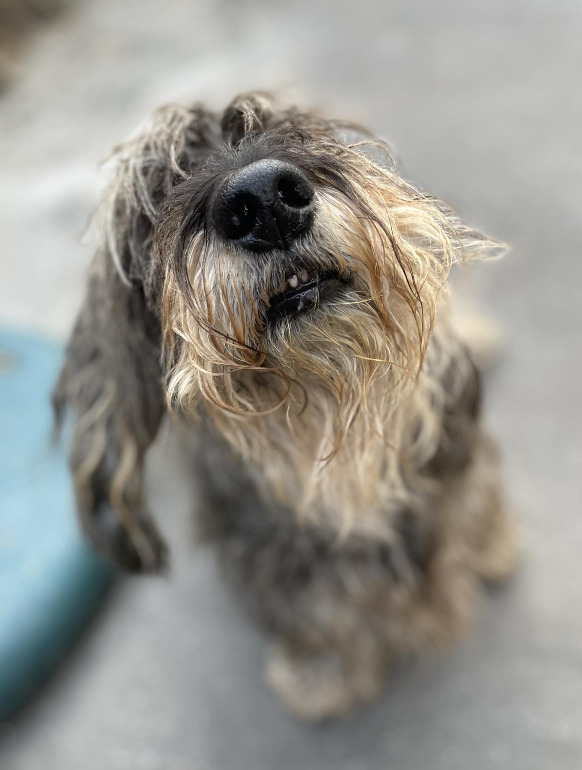 Charlie